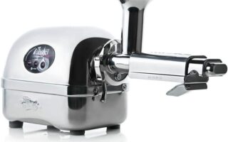 Extracteur de jus Angel 8500S